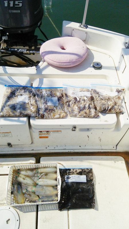 マリンガイド福丸 釣果