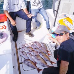 マリンガイド福丸 釣果