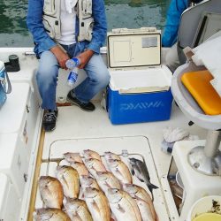 マリンガイド福丸 釣果