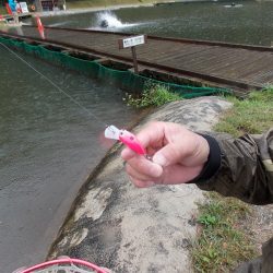 平谷湖フィッシングスポット 釣果