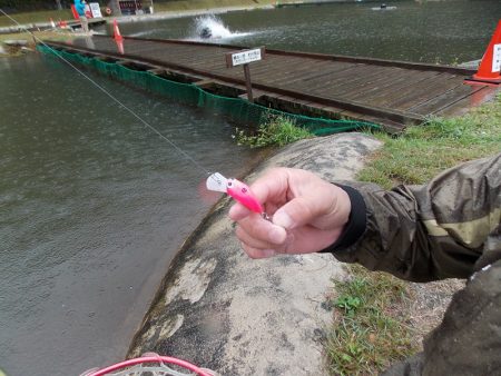 平谷湖フィッシングスポット 釣果