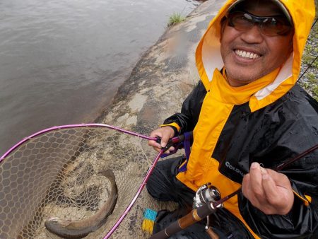 平谷湖フィッシングスポット 釣果