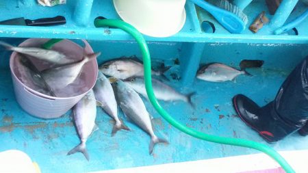 ぽん助丸 釣果