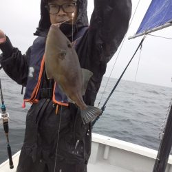ひな丸 釣果