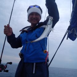 ひな丸 釣果