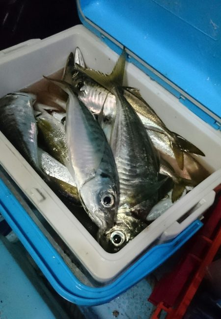 シースナイパー海龍 釣果