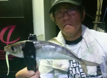 シースナイパー海龍 釣果