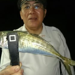 シースナイパー海龍 釣果
