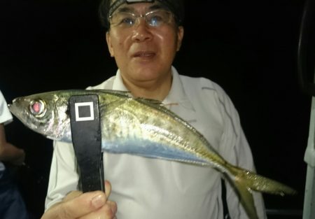 シースナイパー海龍 釣果