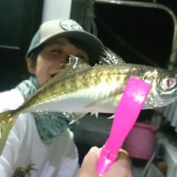 シースナイパー海龍 釣果