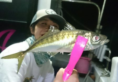 シースナイパー海龍 釣果