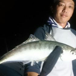 シースナイパー海龍 釣果