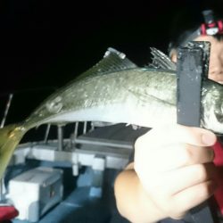 シースナイパー海龍 釣果