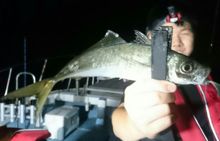 シースナイパー海龍 釣果