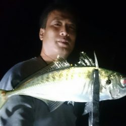 シースナイパー海龍 釣果