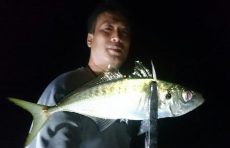 シースナイパー海龍 釣果