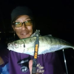 シースナイパー海龍 釣果