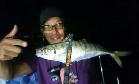 シースナイパー海龍 釣果