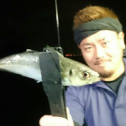 シースナイパー海龍 釣果