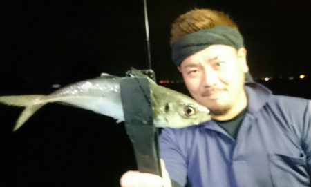 シースナイパー海龍 釣果