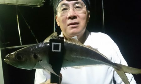 シースナイパー海龍 釣果