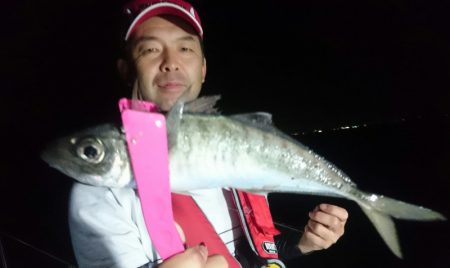 シースナイパー海龍 釣果