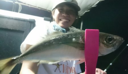 シースナイパー海龍 釣果