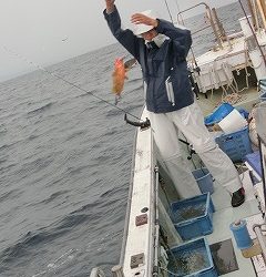 第二清洋丸 釣果