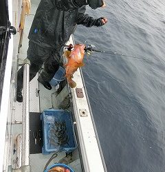 第二清洋丸 釣果