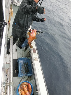 第二清洋丸 釣果