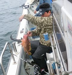 第二清洋丸 釣果