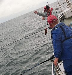 第二清洋丸 釣果