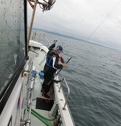 第二清洋丸 釣果