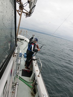 第二清洋丸 釣果