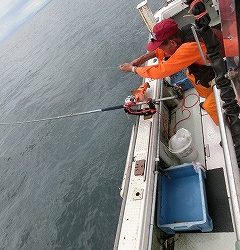 第二清洋丸 釣果