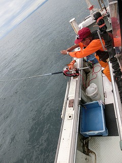 第二清洋丸 釣果