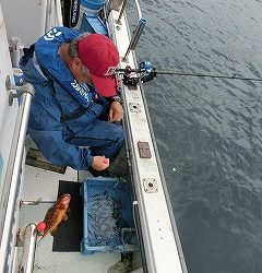 第二清洋丸 釣果