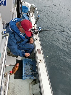 第二清洋丸 釣果