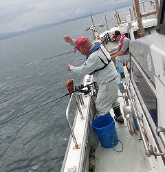 第二清洋丸 釣果