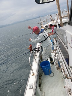 第二清洋丸 釣果