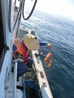 第二清洋丸 釣果