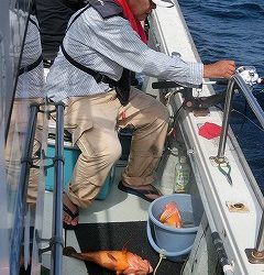 第二清洋丸 釣果