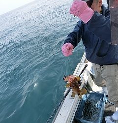 第二清洋丸 釣果