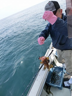 第二清洋丸 釣果