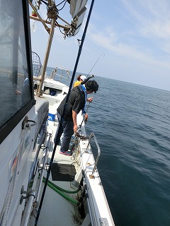 第二清洋丸 釣果