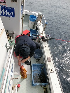 第二清洋丸 釣果