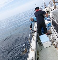 第二清洋丸 釣果