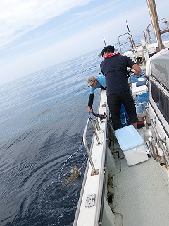 第二清洋丸 釣果