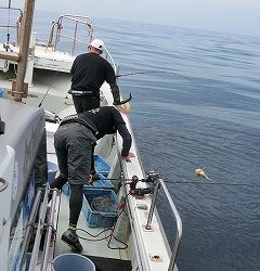 第二清洋丸 釣果