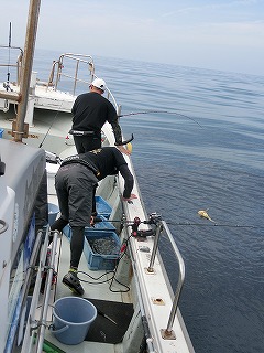 第二清洋丸 釣果